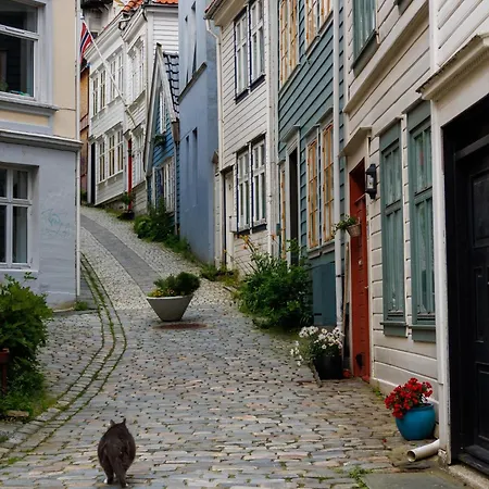Nordnes Brygge Apartment *