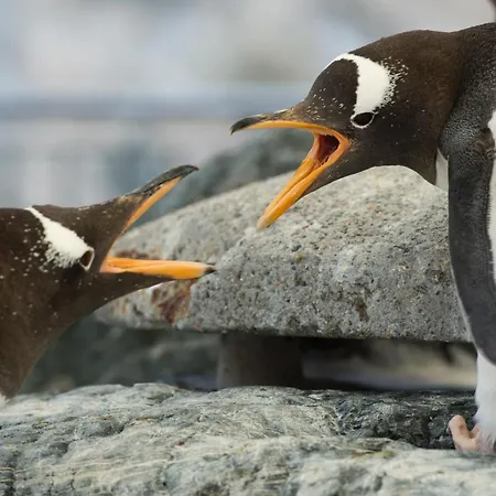 Nordnes Brygge * Bergen