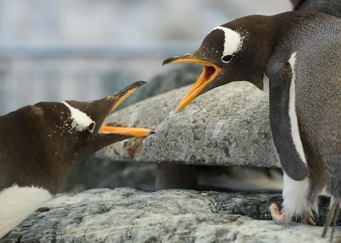 Nordnes Brygge * 卑爾根